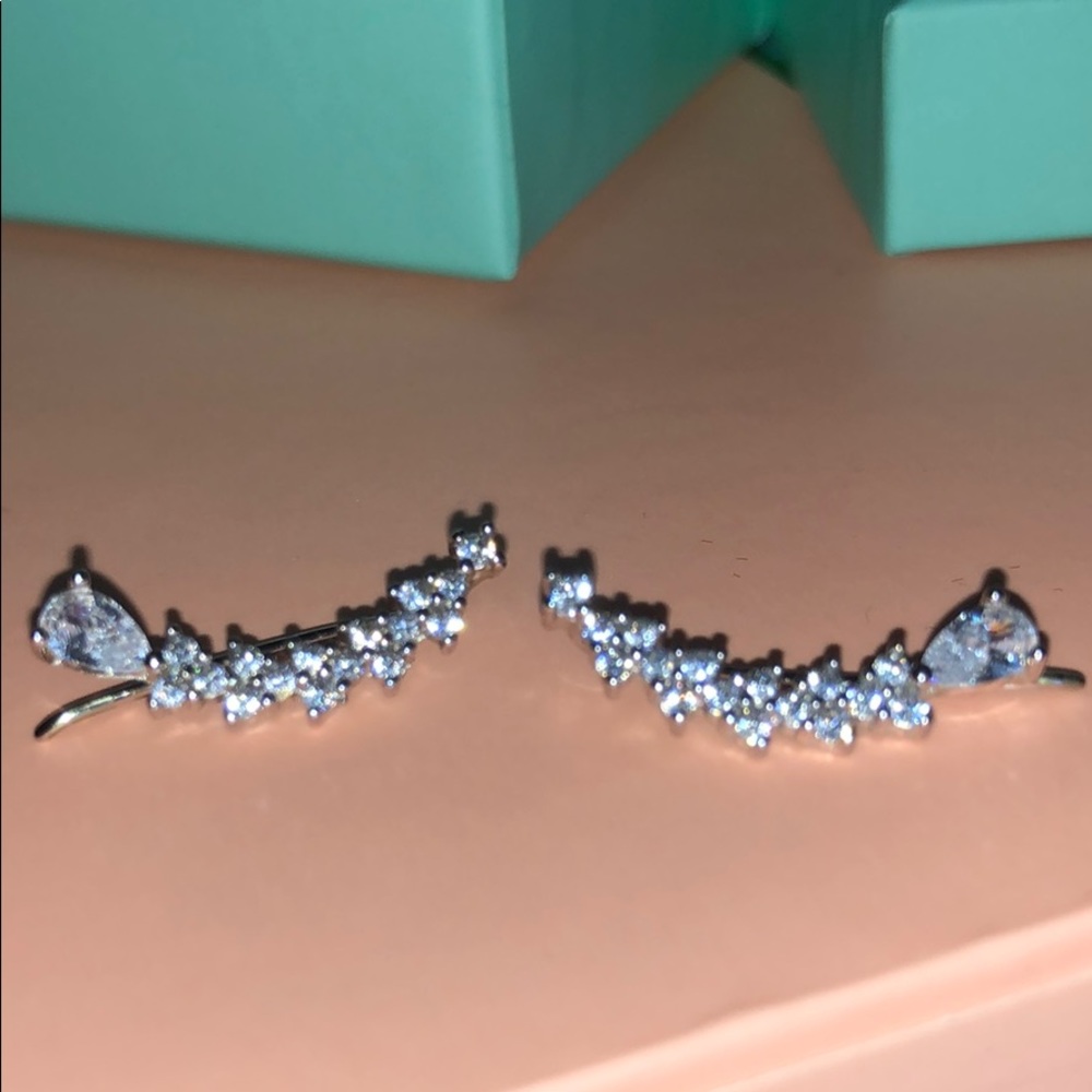 Sterling silver earrings